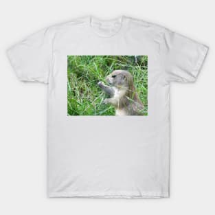 Cute Little Prairie Dog T-Shirt